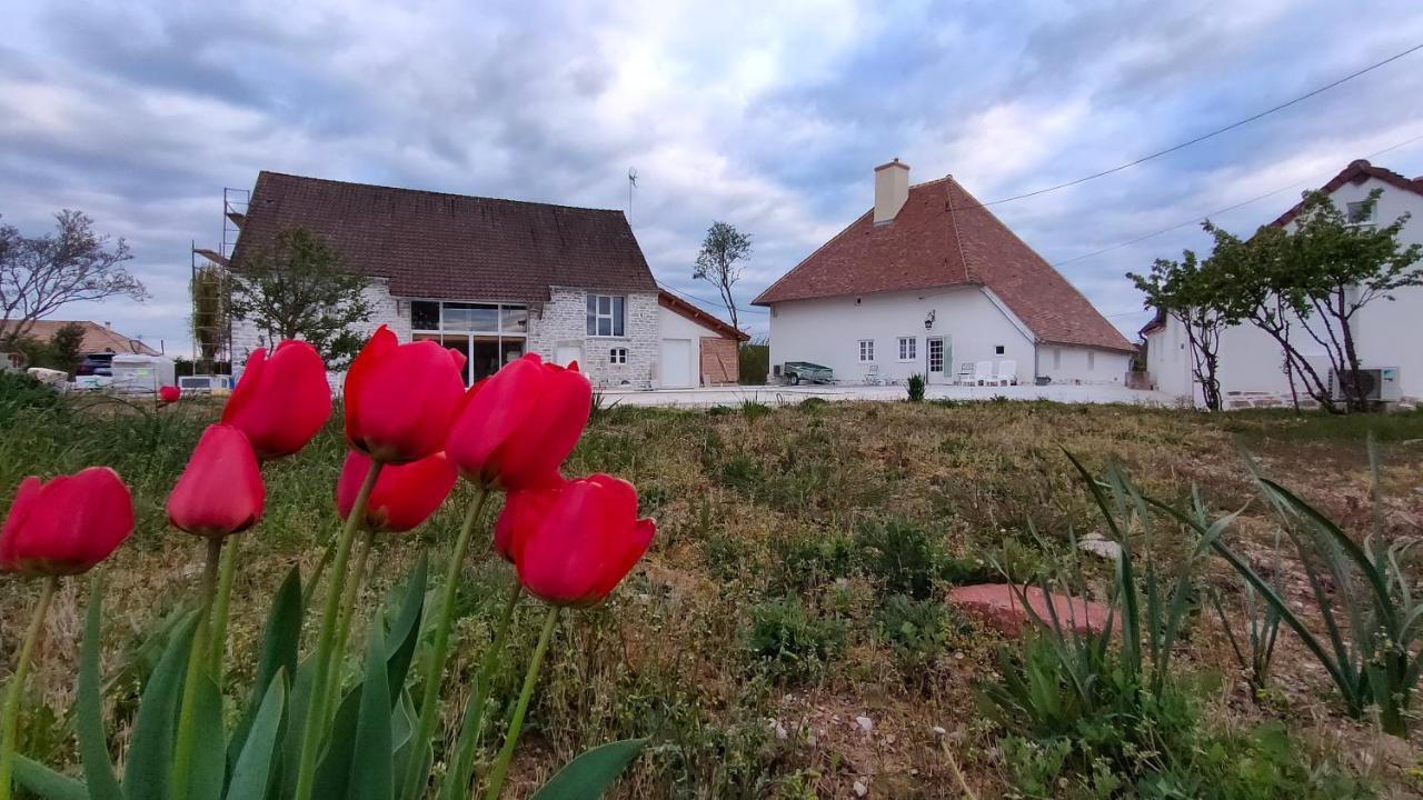 Domaine Ravy-Magnolia Leilighet Saint-Symphorien-sur-Saone Eksteriør bilde